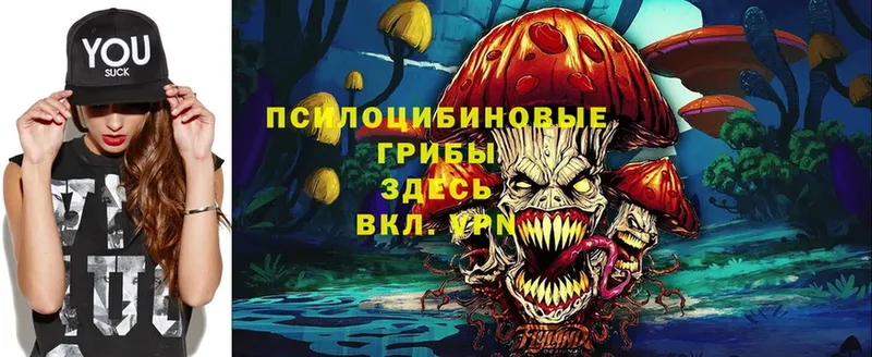 Псилоцибиновые грибы Cubensis  цена   Остров 